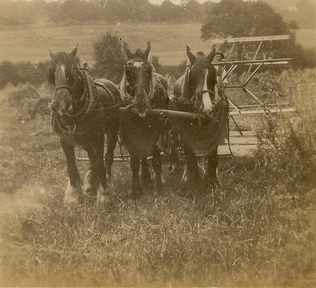 Rockshaw Road History